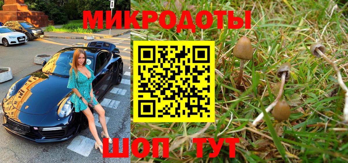 Галлюциногенные грибы мухоморы  Вход с VPN  Удомля  Галлюциногенные грибы Psilocybe 
